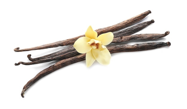 Palitos de baunilha e flor em fundo branco