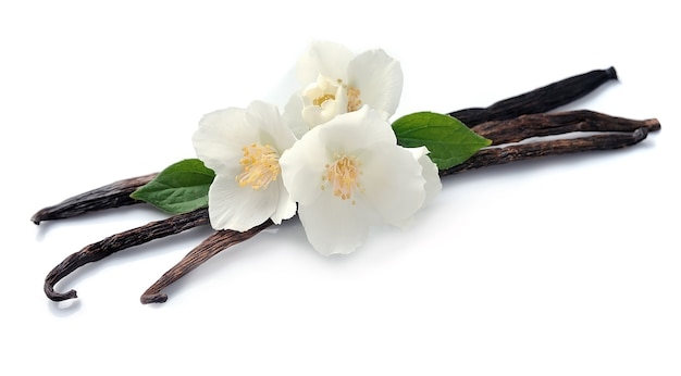 Foto palitos de vainilla con flores aislado en blanco