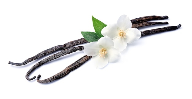 Palitos de vainilla con flores sobre blancos.