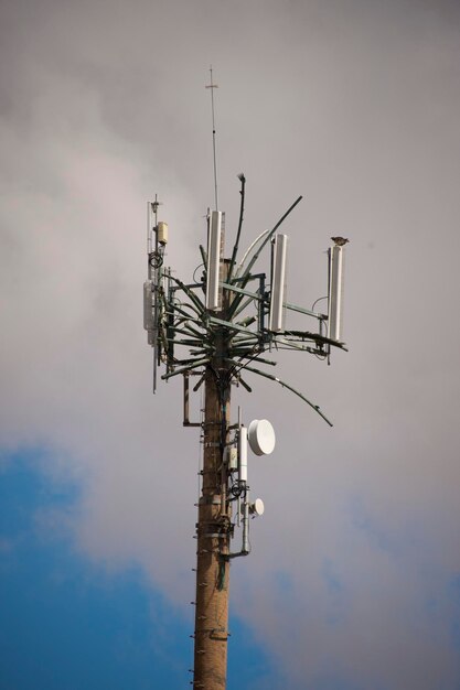 Palm antena de comunicação tropical