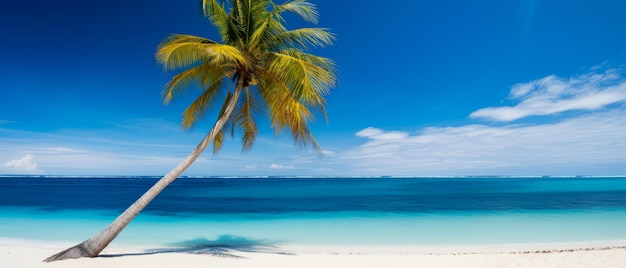 Palm auf einem exotischen tropischen Strand Panoramablick auf Ozean und Küste Ferien-Freizeit-Mockup