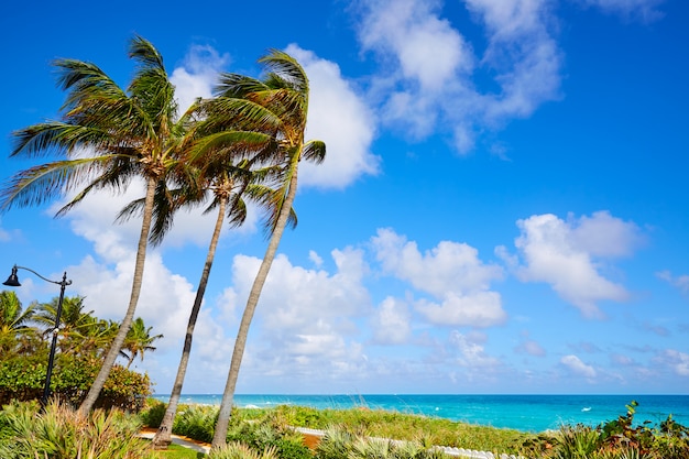 Palm Beach-Strandküstenlinie Florida US