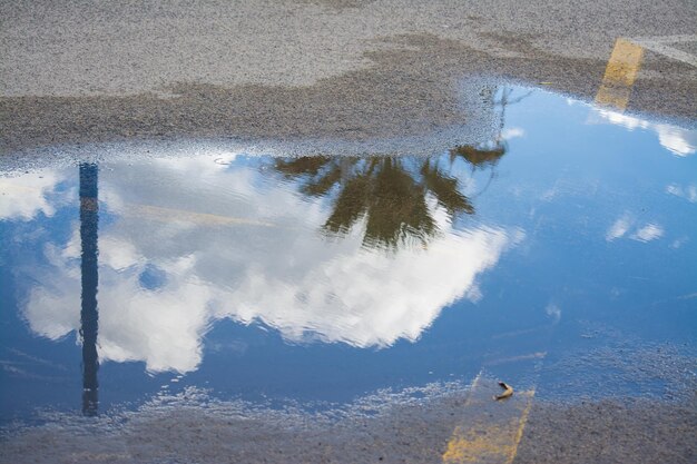 Palm bajo un cielo nublado reflejado en un charco urbano