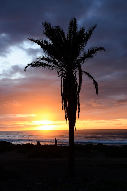 Palm Tree Silhouette bei Sonnenuntergang auf den Kanarischen Inseln