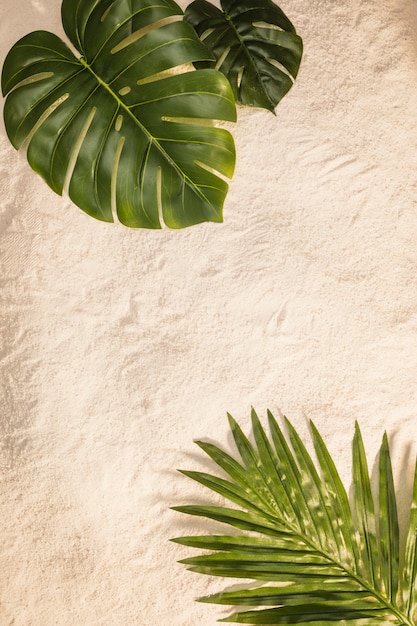 Foto palm und monstera blätter am gelben strand