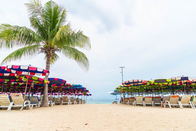 Palma com guarda-chuva e cadeira na praia