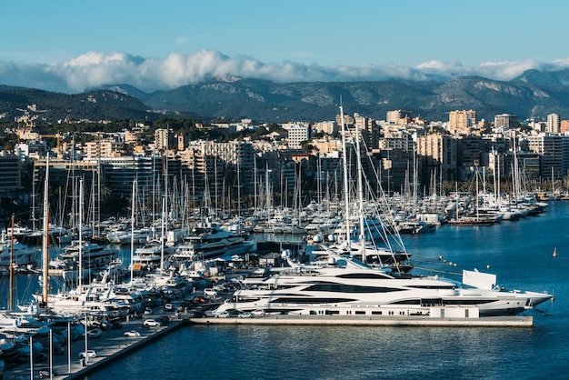 Foto palma de mallorca spanien skyline im hafen mit yachten am frühen morgen