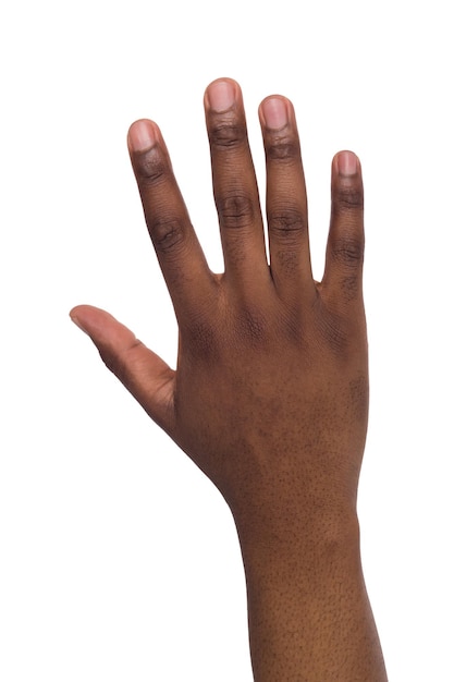 Foto palma do americano africano em fundo branco isolado. dedos.