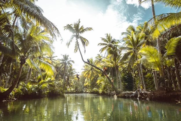 Palma inclinada en el río Maasin, Siargao