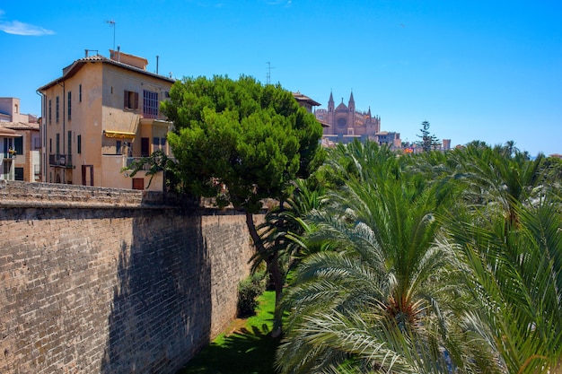 Palma de Mallorca ciudad en España con hermosos paisajes