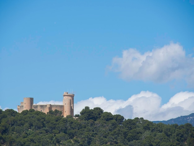 Foto palma de mallorca en españa