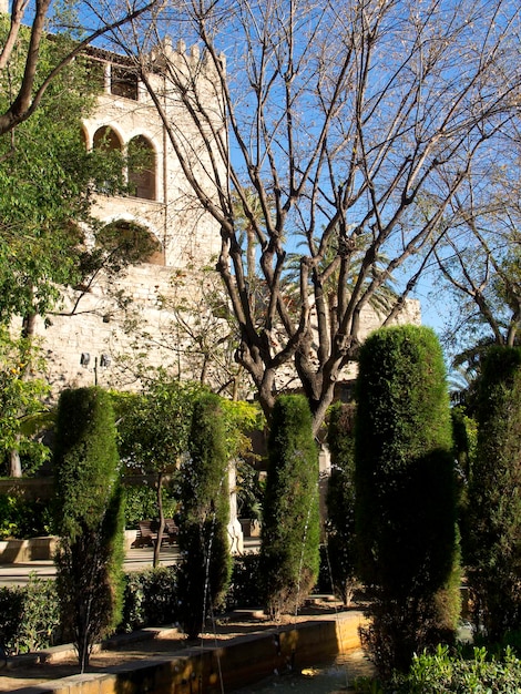 Foto palma de mallorca en españa