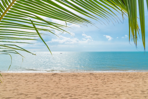 Palma con playa vacía