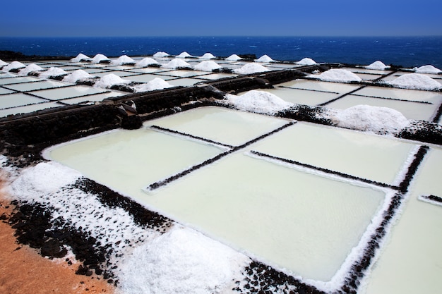 La Palma Salinas de Fuencaliente Salinas