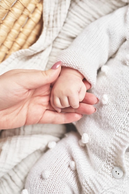 Palma de Shild en manos de los padres Feliz Día de la Madre y del Padre Infancia y paternidad