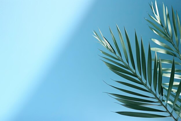 Palma vacía con sombra de color azul patrón de textura fondo de pared de cemento Utilizado para la presentación