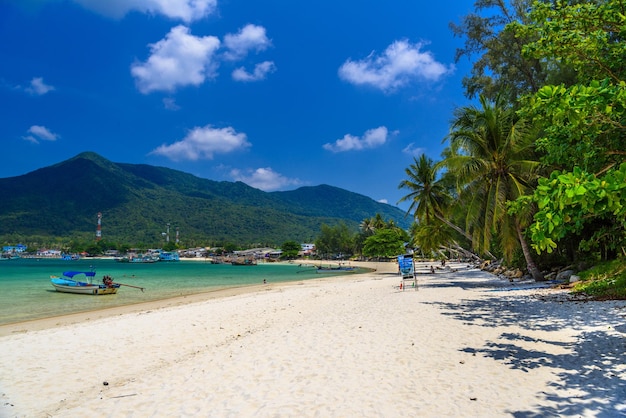 Palmas y arena en la playa de Malibu, isla de Koh Phangan Suratthani