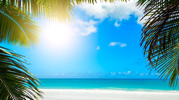 Palmblätter auf blauem Himmel Hintergrund Wochenende Urlaub tropischen Strand Konzept Hintergrund