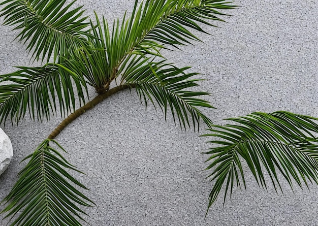 Palmblätter gegen eine graue Wand