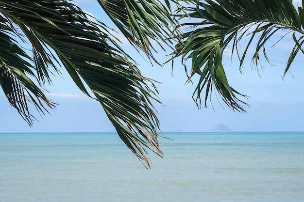 Palmblätter gegen Meereslandschaft