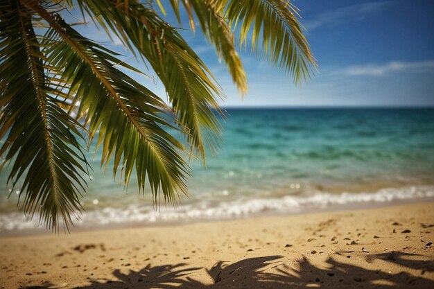 Palmblätter im Sommer-Hintergrund