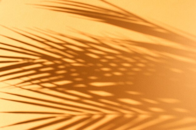 Palmblätter und ihr Schatten auf einem orangefarbenen Hintergrund.