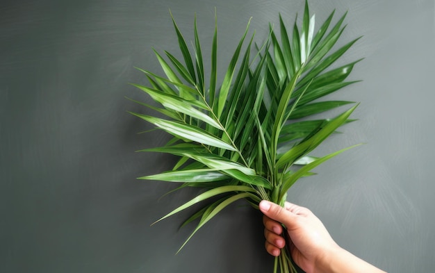 Foto palmblatt in der hand mit kopierplatz palmsonntag feier generative ki