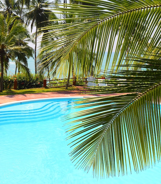 Foto palmblatt und swimmingpool