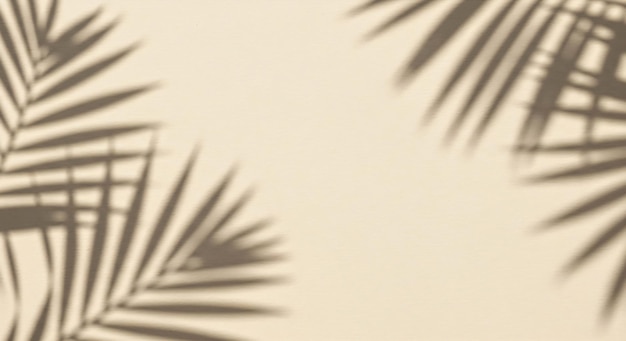 Palmblattschatten auf beigefarbenem Wandhintergrund
