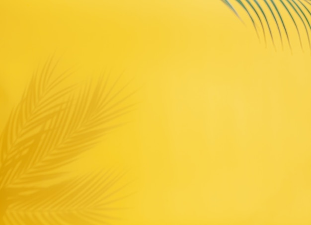 Palmblattschatten auf gelbem Hintergrund. Abstrakter heller Hintergrund des Schattenpalmblattes mit Kopienraum.