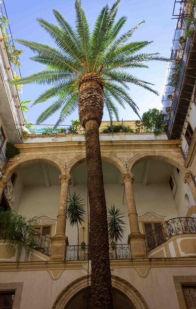 Palme im Innenhof eines Hauses in Italien