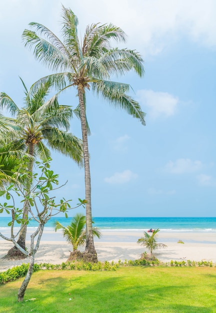 Palme mit Strand und Meer