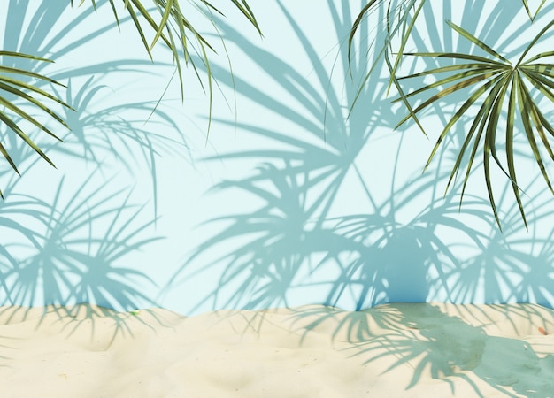 Palme Schatten Sommer Hintergrund
