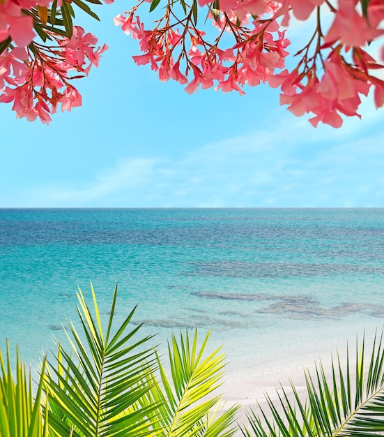 Palme und Blumen in einem tropischen Strand