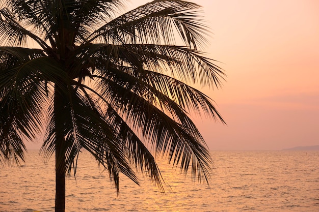 Palmeira de coco silhueta no fundo do céu do mar e pôr do sol