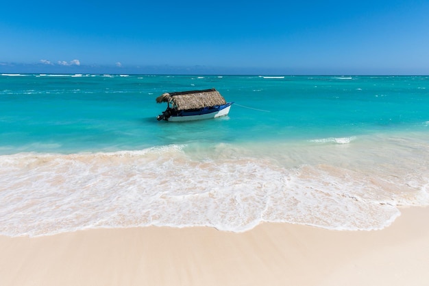 Palmeira de praia tropical e barco de viagem em punta cana república dominicana