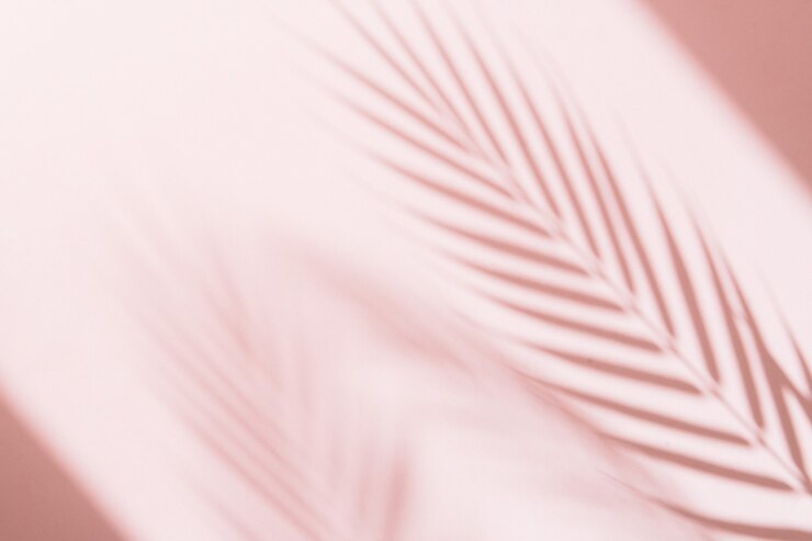 palmeira deixa sombras no fundo rosa