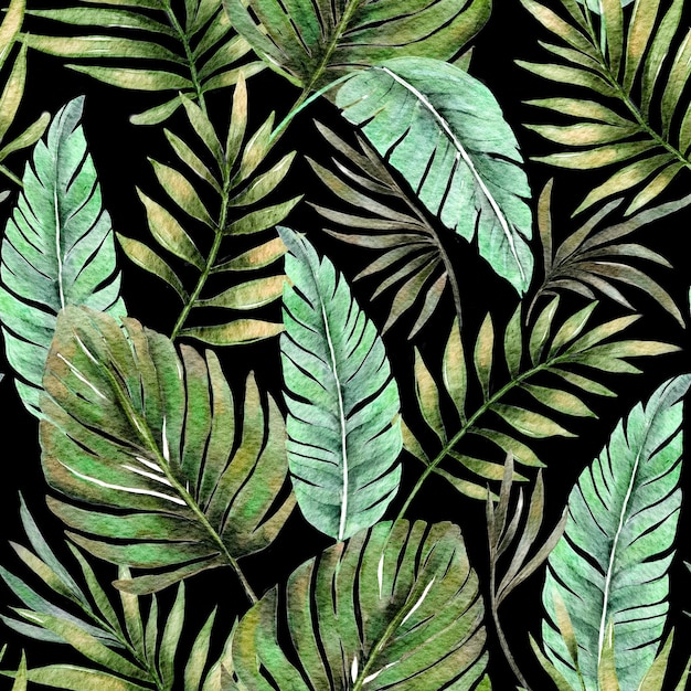 Palmeira monstera tropical aquarela padrão sem costura