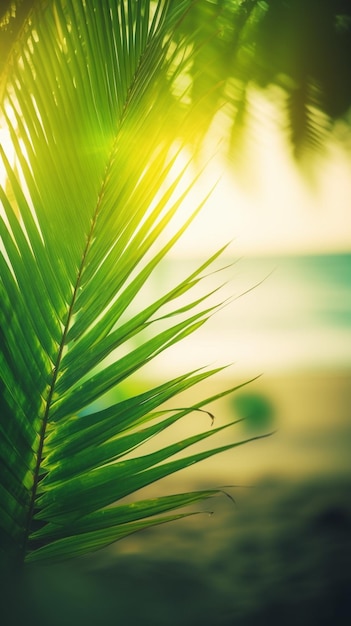 Palmeira na praia com o sol brilhando sobre ela