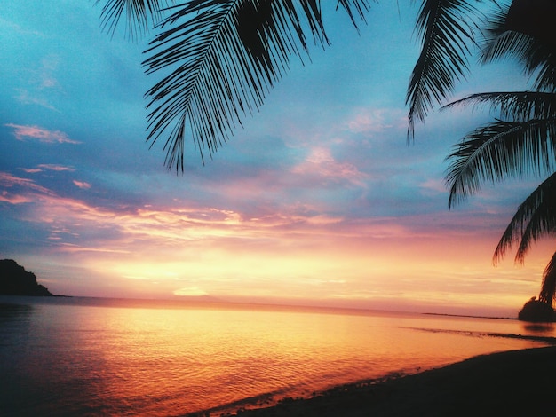 Palmeira na praia contra o céu durante o pôr-do-sol