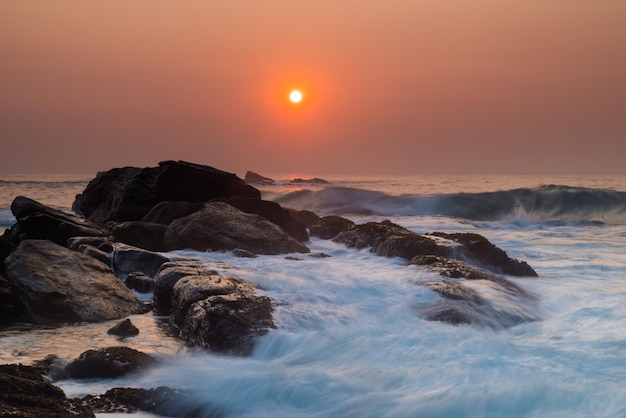 Palmeira solitária na praia ao fundo do céu por do sol