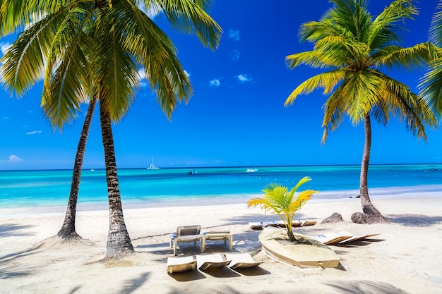 Palmeiras com espreguiçadeiras na praia tropical caribenha