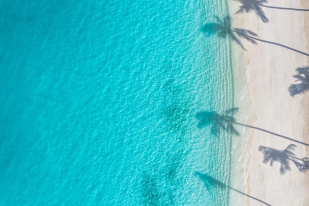 Palmeiras de praia na costa arenosa ensolarada, oceano turquesa de cima. Incrível paisagem aérea da natureza