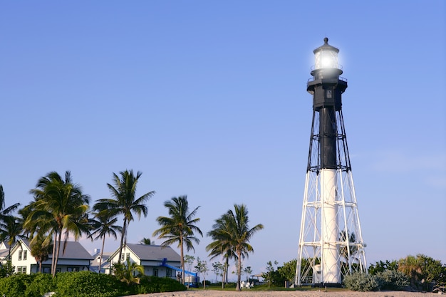 Palmeiras do farol de Florida Pompano Beach