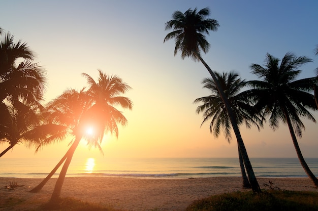 palmeiras e incrível céu nublado no nascer do sol na ilha tropical no Oceano Índico