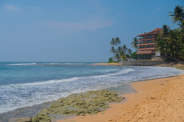 Palmeiras na costa do Oceano Índico na praia em Hikkaduwa, Sri Lanka.