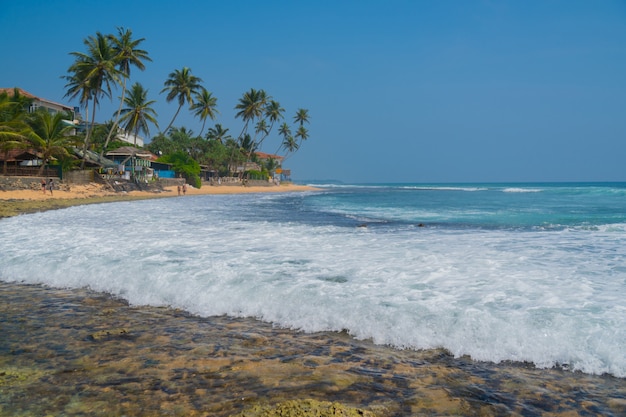 Palmeiras na costa do Oceano Índico na praia em Hikkaduwa, Sri Lanka.