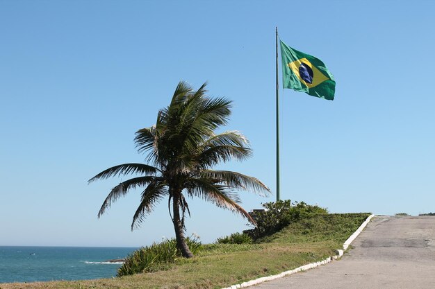 Foto palmeiras na praia contra o céu claro