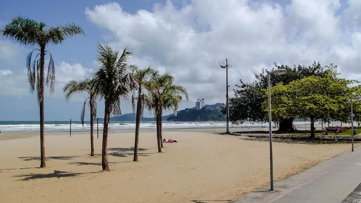 Foto palmeiras na praia contra o céu