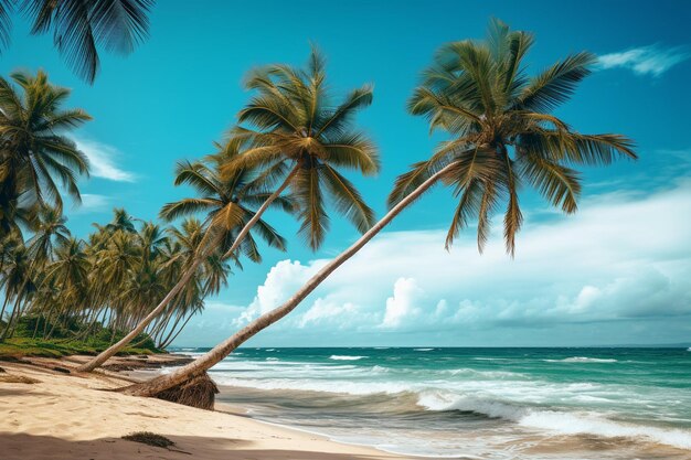 Palmeiras na praia tropical selvagem da República Dominicana